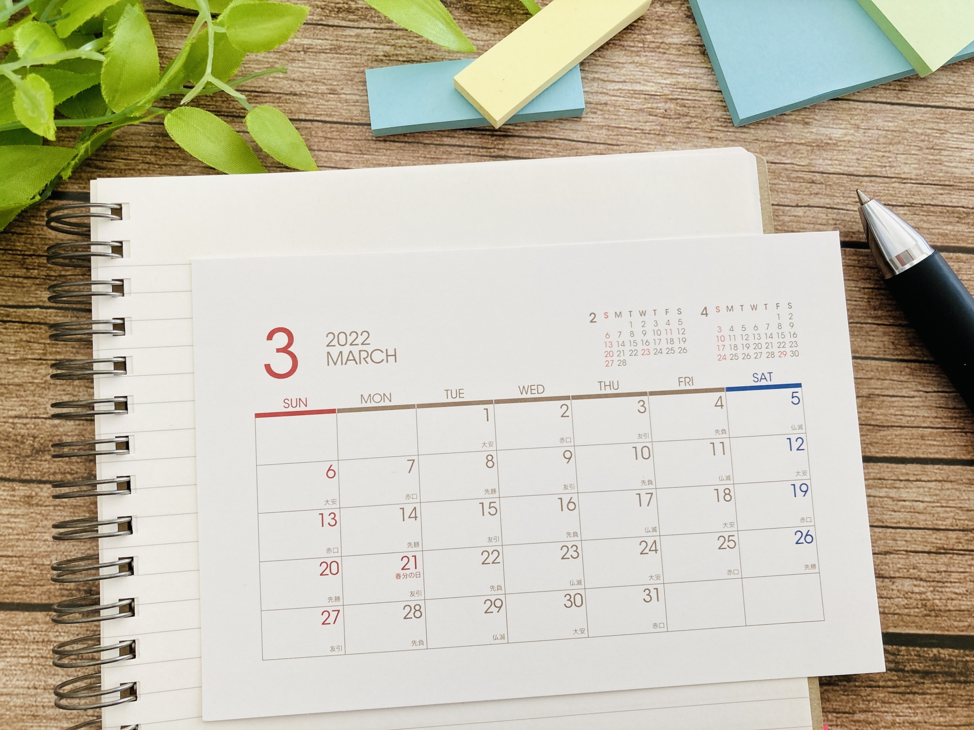 新車のスポーツカーが駐車してある倉庫